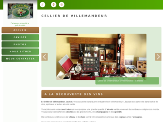caviste-villemandeur-montargis.fr website preview