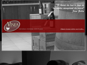 vinea-brive.com website preview