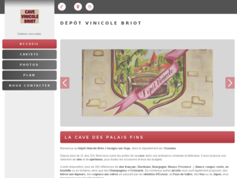 cave-vinicole-briot.fr website preview