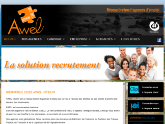 awelinterim.com website preview