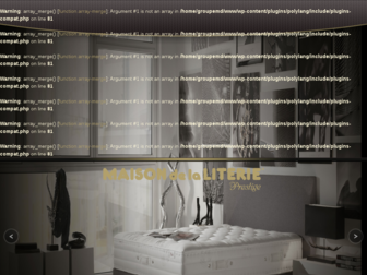 maisondelaliterieprestige.fr website preview