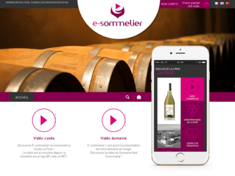 e-sommelier.fr website preview