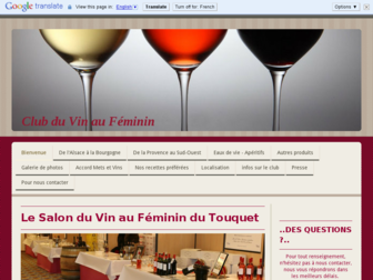 clubduvinaufeminin.com website preview