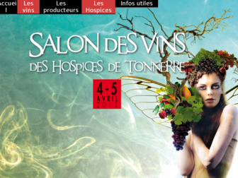 vineestonnerroises.com website preview