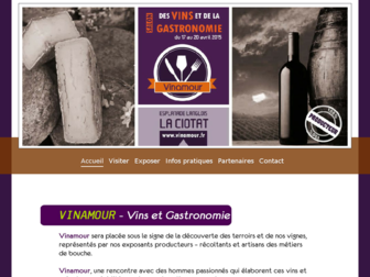 vinamour.fr website preview