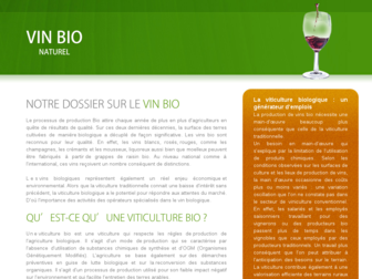 vin-bio-naturel.fr website preview