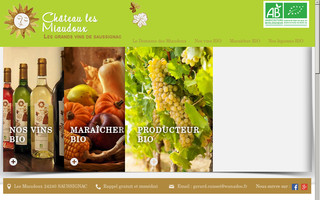 chateaulesmiaudoux.com website preview
