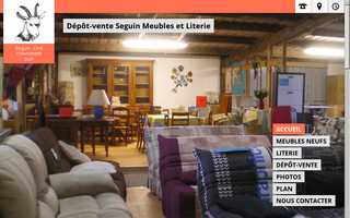 depot-vente-seguin.fr website preview