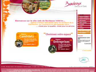 bordeaux-interim.fr website preview