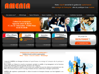 amenia.fr website preview
