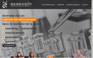 serendip-consulting.com website preview