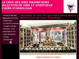 coursdoenologie.fr website preview