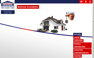 budniokimmobilier.com website preview