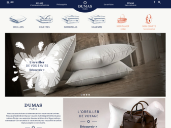 dumas-paris.fr website preview