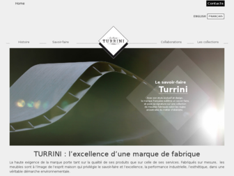 turrini.fr website preview
