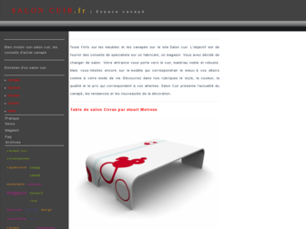 salon-cuir.fr website preview