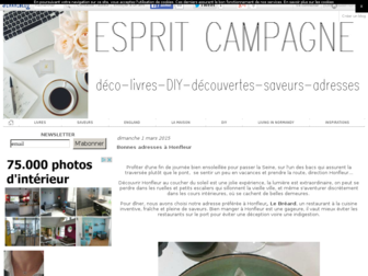 espritcampagne.canalblog.com website preview