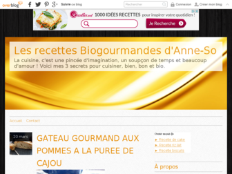 recettes-biogourmandes-anne-so.com website preview