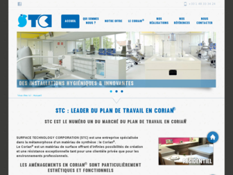 stc-paris.com website preview
