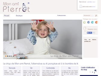 monamipierrot.fr website preview