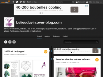 lelieuduvin.over-blog.com website preview