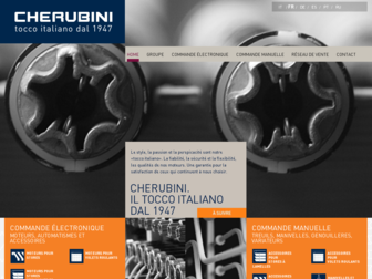cherubini-group.fr website preview
