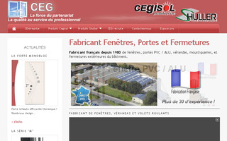 ceg.fr website preview