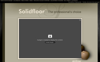 solidfloormarseille.com website preview