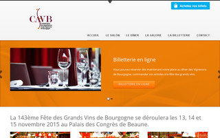 fetedesgrandsvins.fr website preview