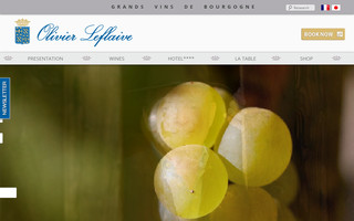 olivier-leflaive.com website preview