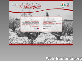 benquet-oenologie.com website preview