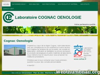 cognac-oenologie.com website preview