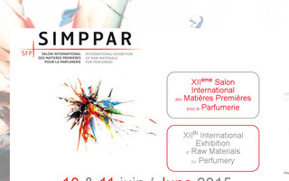 simppar.fr website preview