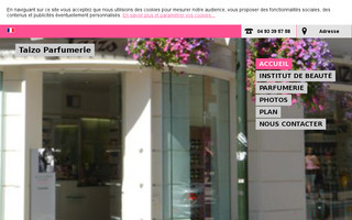 taizo-parfumerie.fr website preview