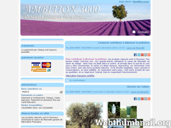 ambition3000.com website preview