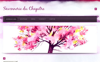 savonnerieduchapitre.fr website preview
