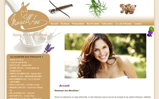 soins-lait-anesse.com website preview