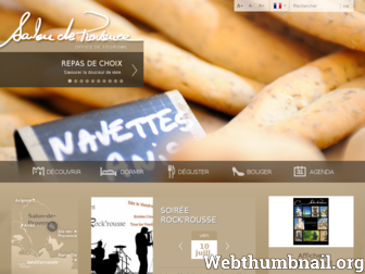 visitsalondeprovence.com website preview