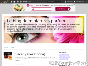 miniatures-parfum.over-blog.com website preview