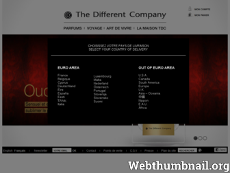 thedifferentcompany.com website preview