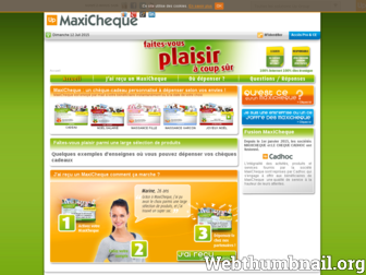 maxicheque.com website preview
