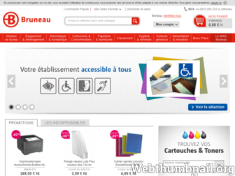 bruneau.fr website preview