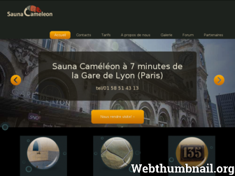 sauna-cameleon.com website preview