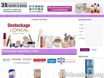 grossiste-cosmetique.fr website preview