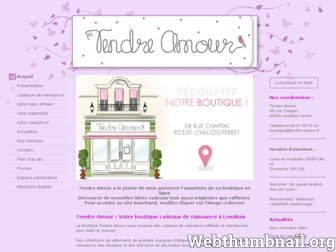 tendre-amour.fr website preview