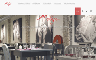 malys.fr website preview