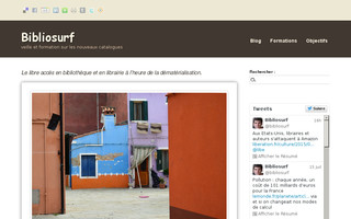 bibliosurf.com website preview