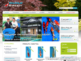 boutique-bassin.fr website preview