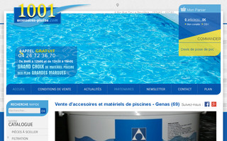 1001-accessoires-piscine.com website preview