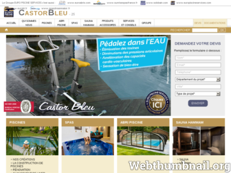 castor-bleu.fr website preview